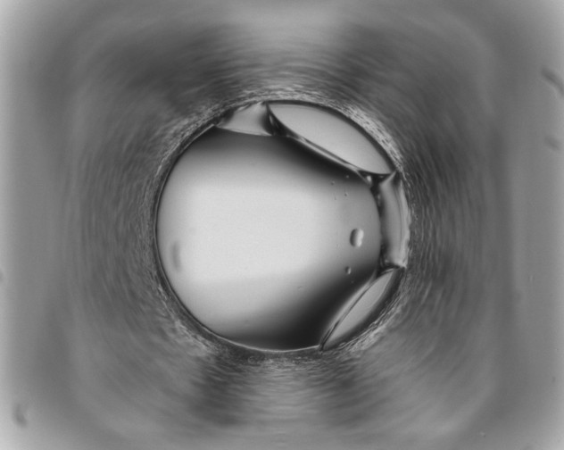 X0000096210481200802081506