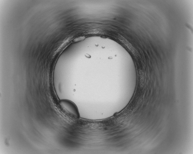 X0000096210482200802081506