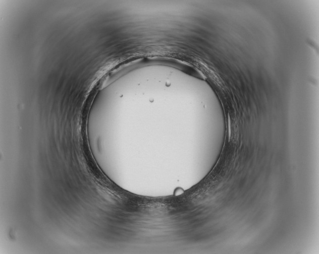 X0000096210483200802081505