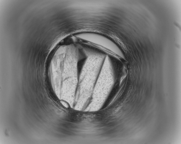 X0000096210484200802081505