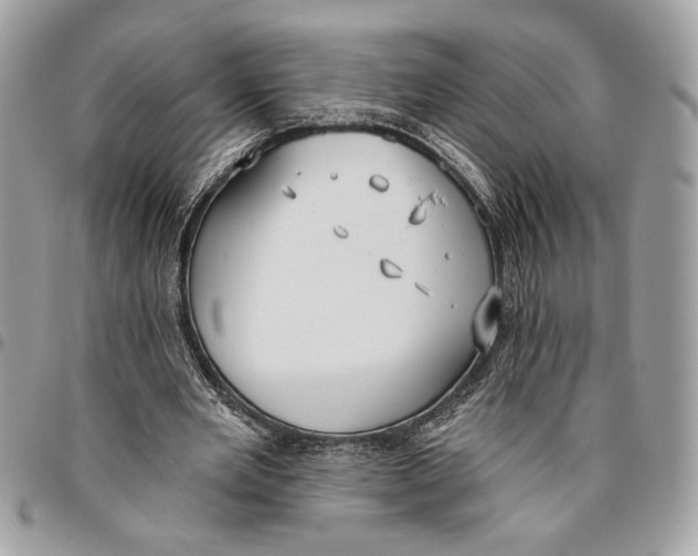 X0000096210485200802081505