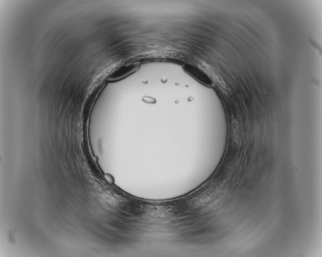 X0000096210486200802081505