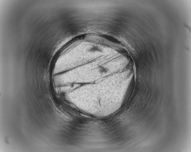 X0000096210488200802081505