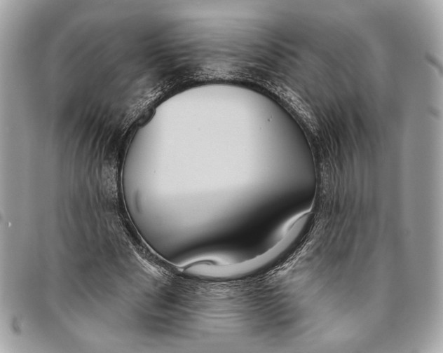 X0000096210489200802081505