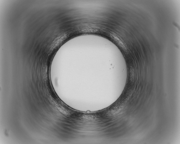 X0000096210490200802081505