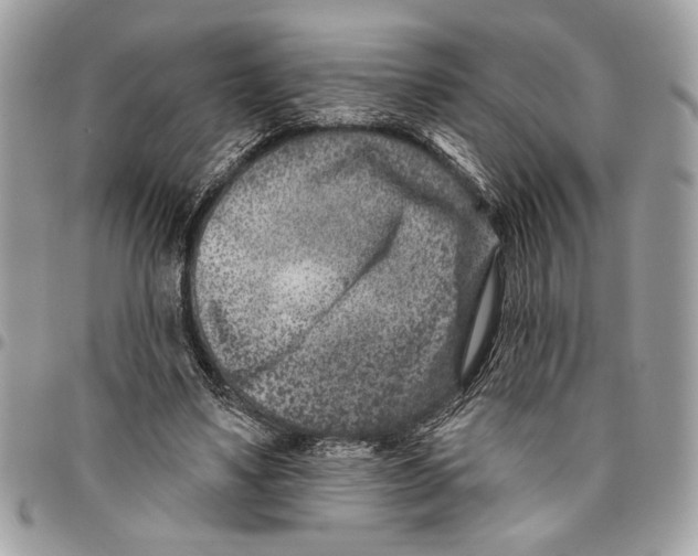 X0000096210491200802081505