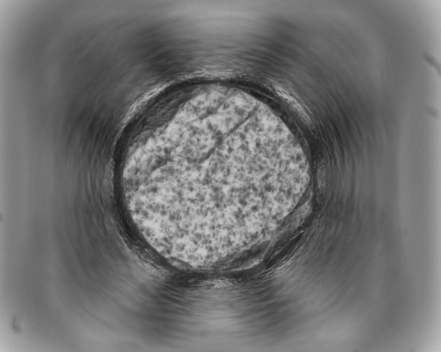 X0000096210492200802081505