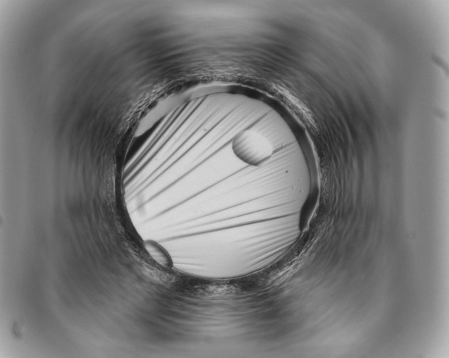 X0000096210493200802081505