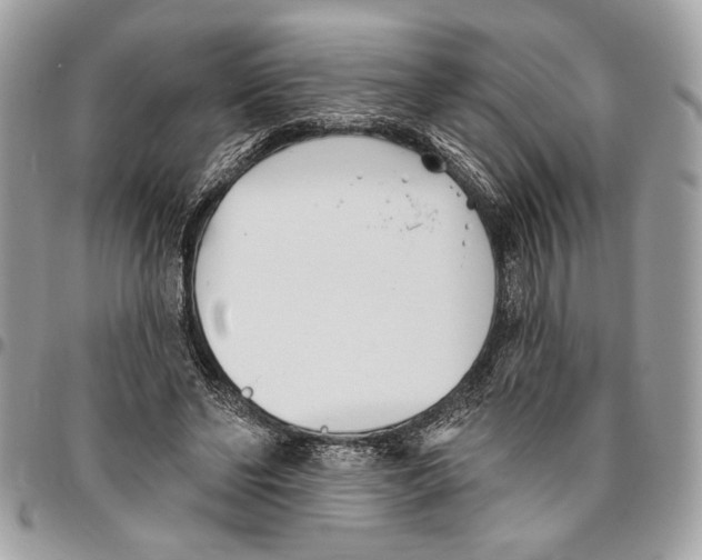 X0000096210494200802081505