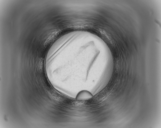 X0000096210495200802081505