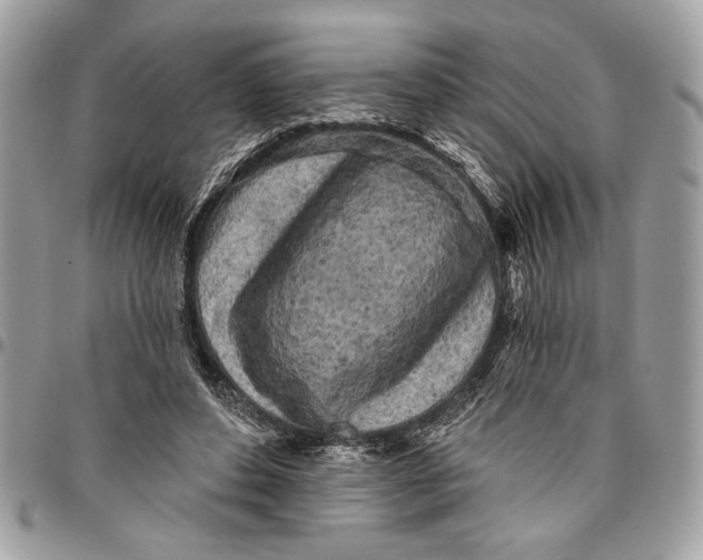 X0000096210496200802081505