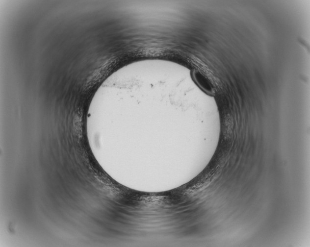 X0000096210497200802081505