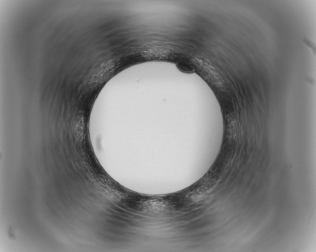 X0000096210498200802081505