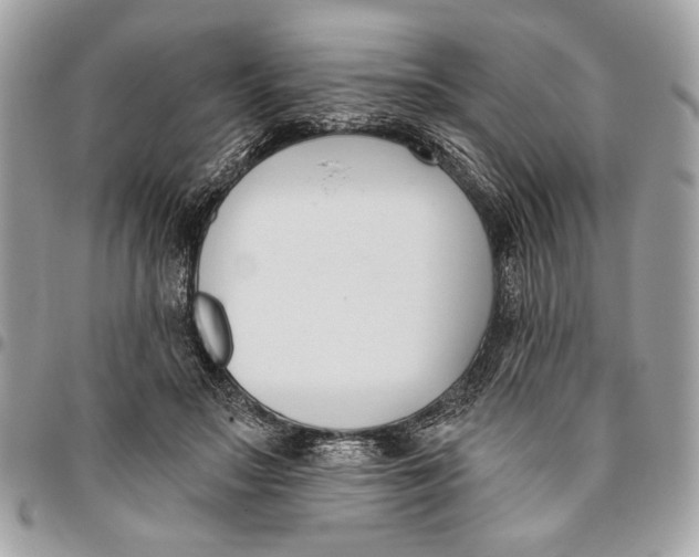 X0000096210499200802081505