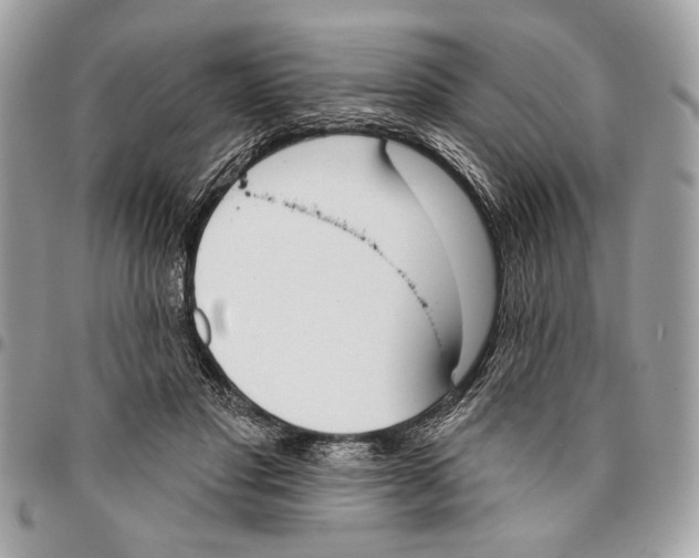 X0000096210501200802081505