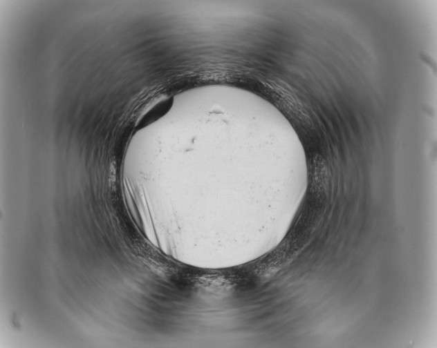 X0000096210502200802081505