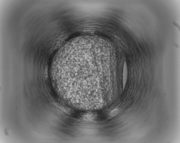 X0000096210504200802081505