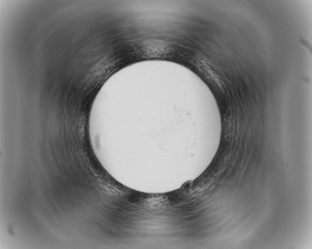 X0000096210505200802081505