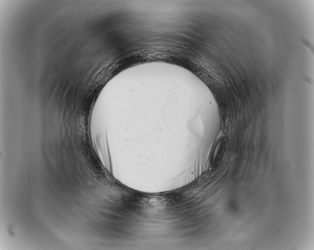 X0000096210506200802081505