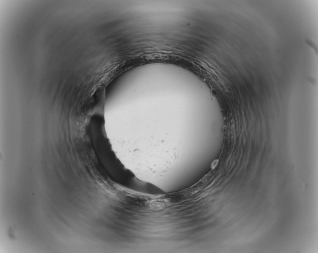 X0000096210508200802081505