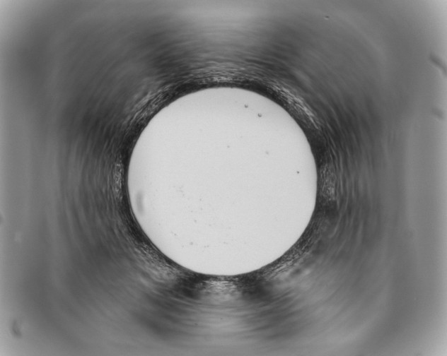 X0000096210509200802081505