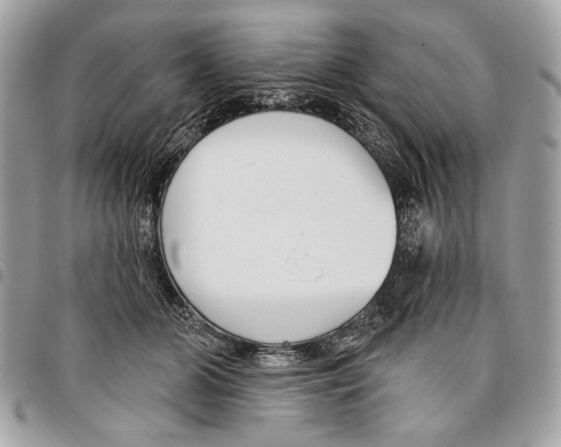 X0000096210510200802081505