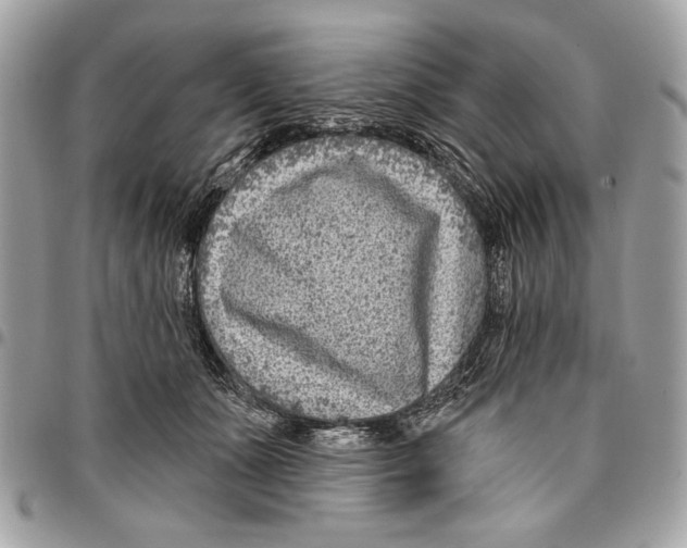 X0000096210511200802081505