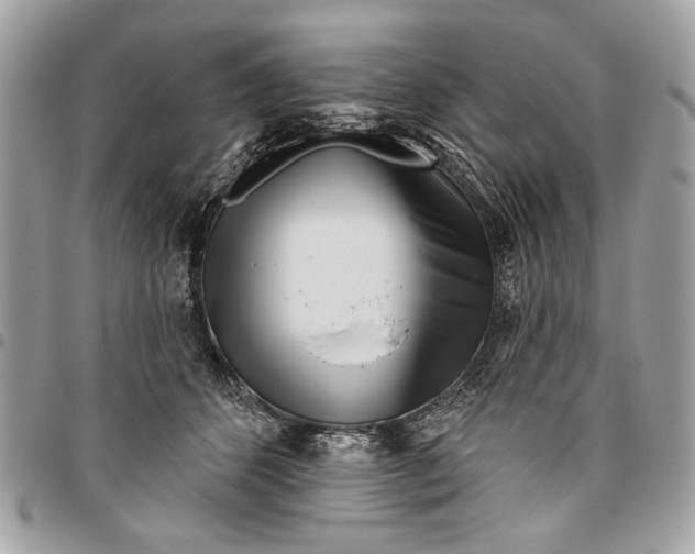 X0000096210512200802081505