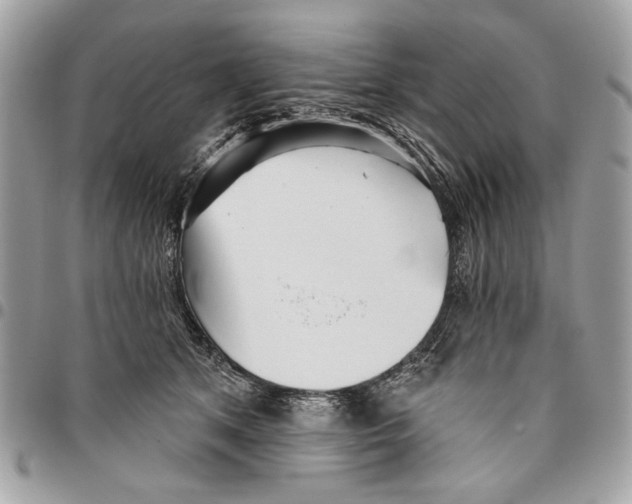 X0000096210513200802081505