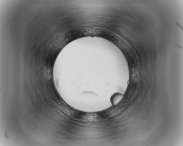 X0000096210514200802081505