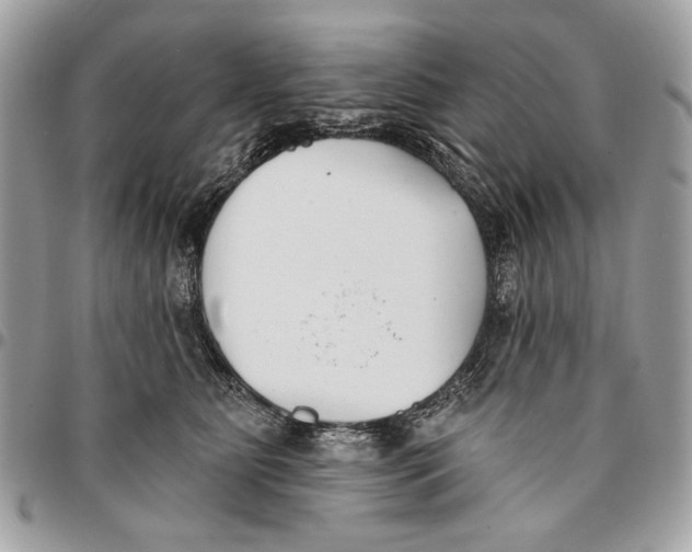 X0000096210515200802081505