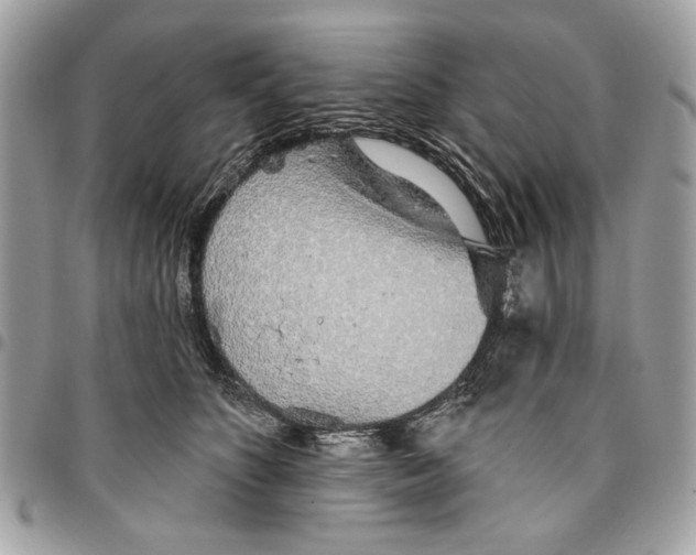 X0000096210516200802081505