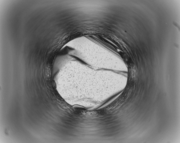 X0000096210517200802081505