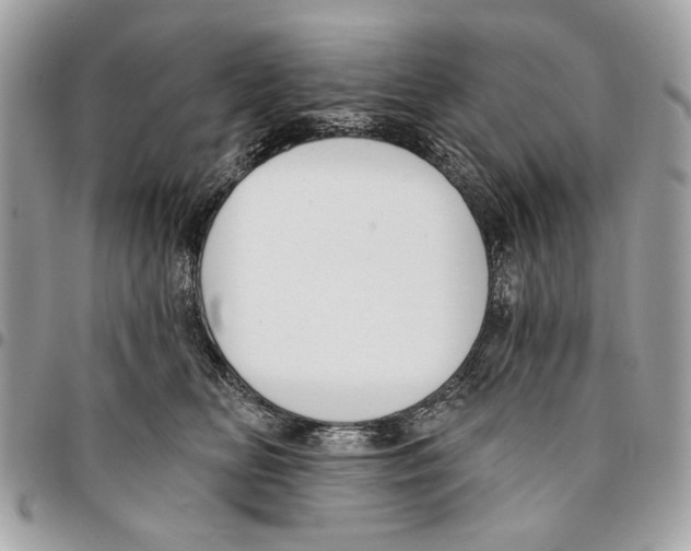 X0000096210518200802081505