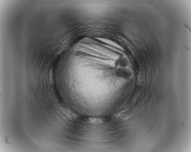 X0000096210520200802081505