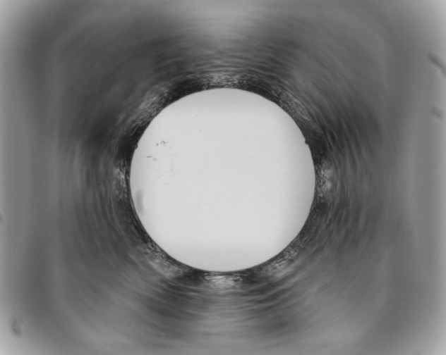 X0000096210522200802081505