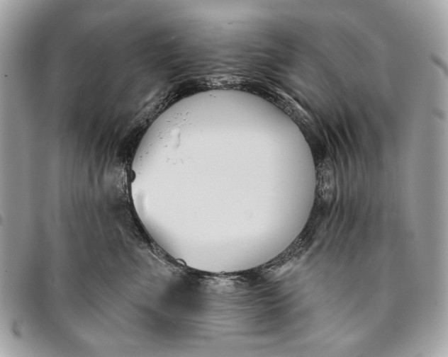 X0000096210523200802081505