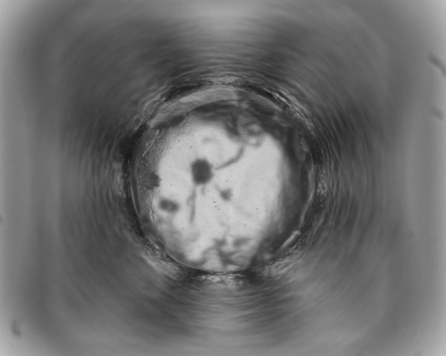 X0000096210524200802081505