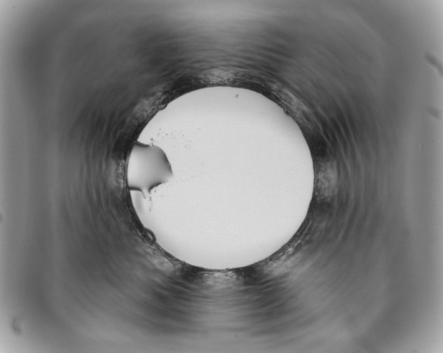 X0000096210525200802081505