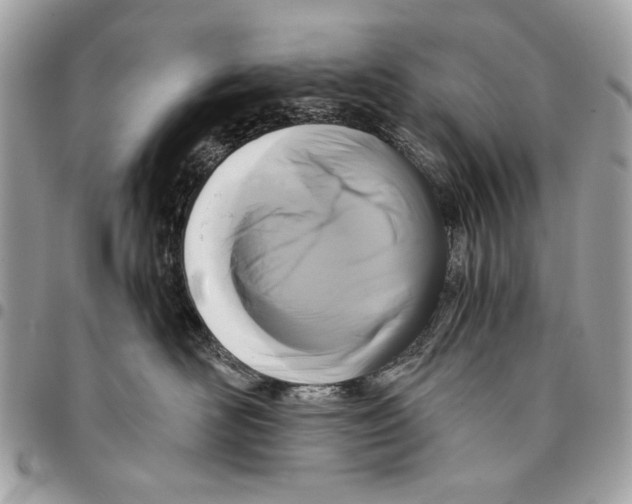 X0000096210526200802081505