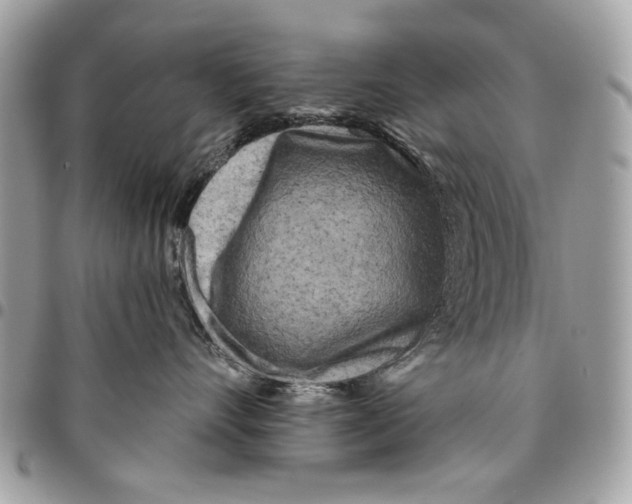 X0000096210528200802081505