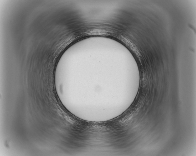 X0000096210529200802081504