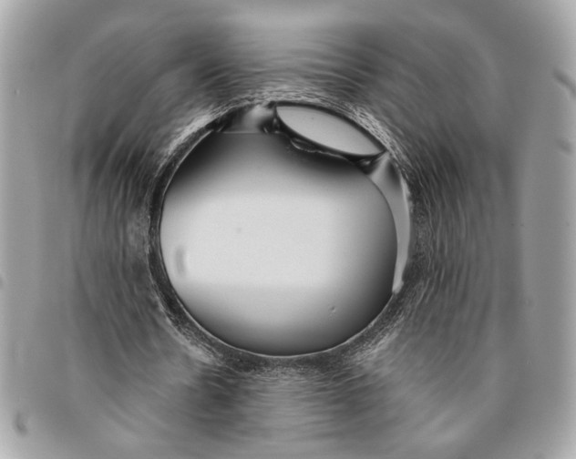 X0000096210530200802081504