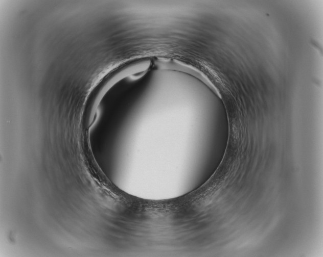 X0000096210532200802081504