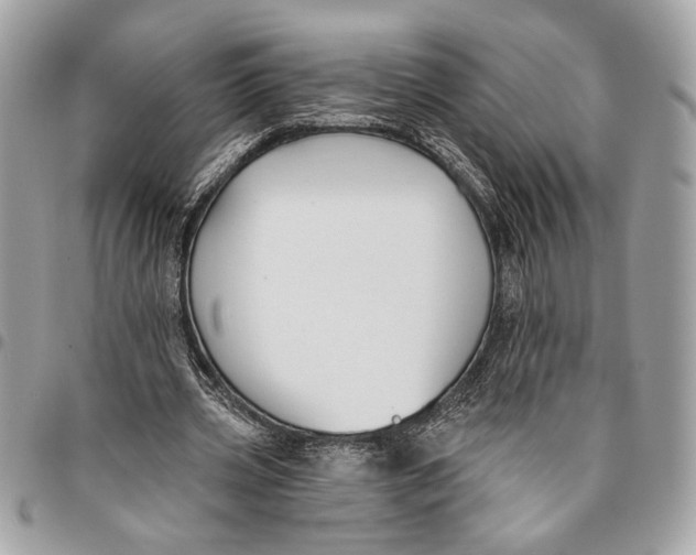 X0000096210533200802081504