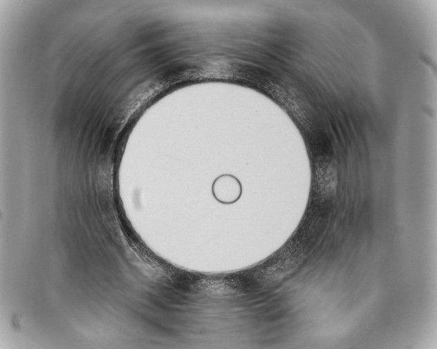 X0000096210534200802081504