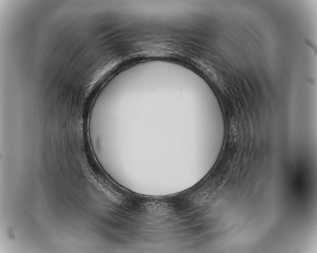 X0000096210535200802081504