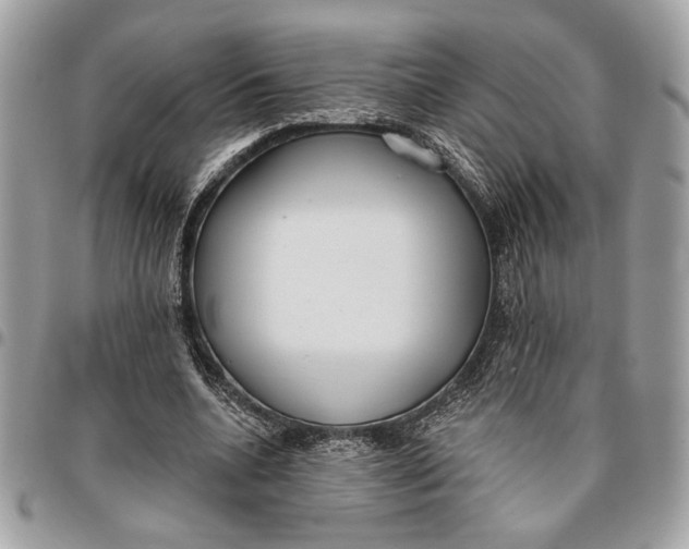 X0000096210536200802081504