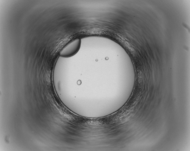 X0000096210537200802081504