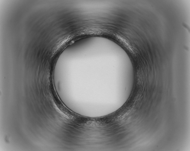 X0000096210538200802081504